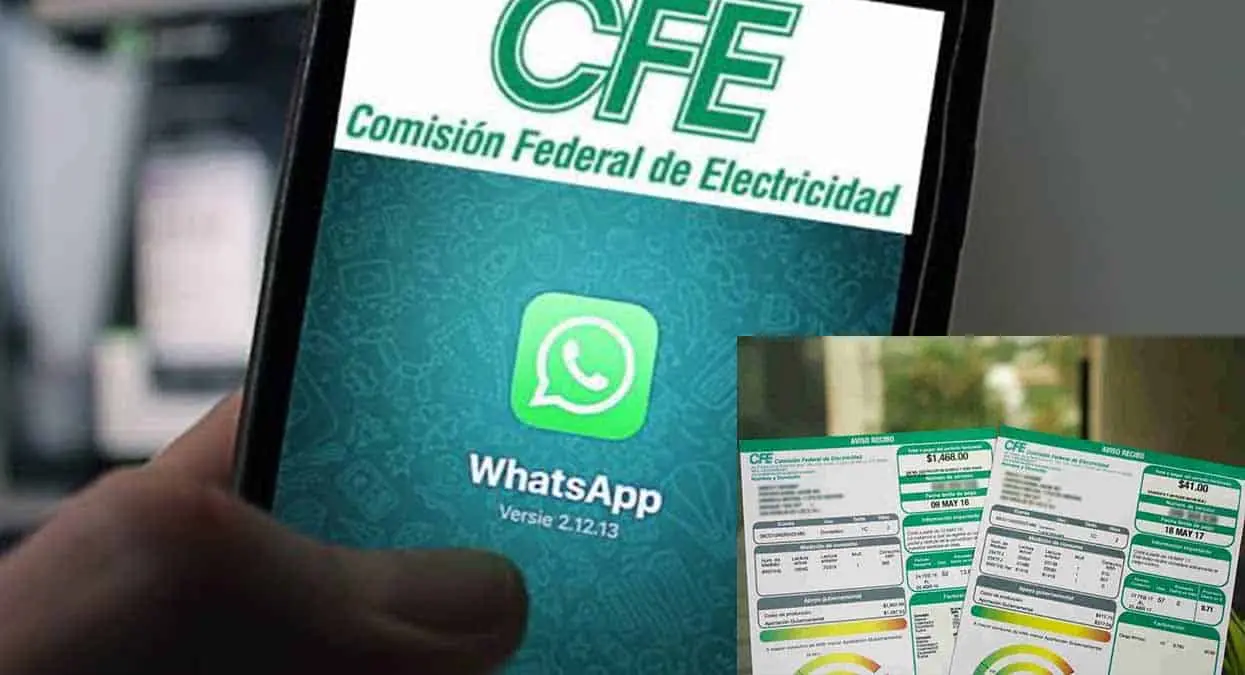 ¿No tienes recibo de la CFE? de esta manera también puedes pagar la luz