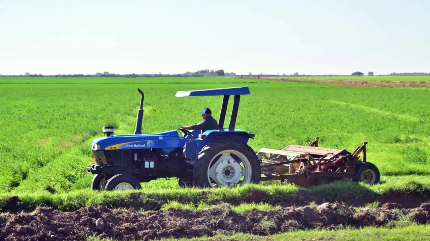 Campo, el "perdedor" en 2024