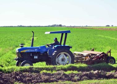 Campo, el "perdedor" en 2024