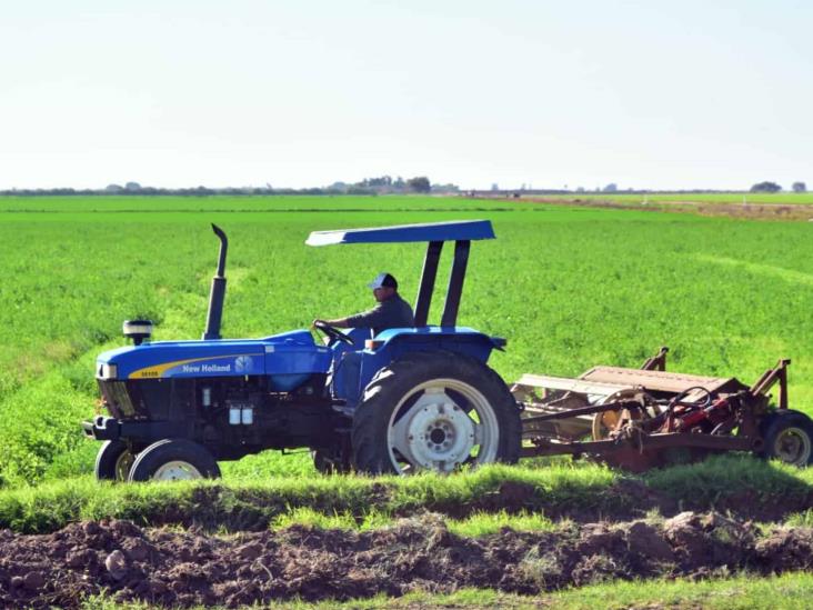 Campo, el "perdedor" en 2024 Campo, el "perdedor" en 2024