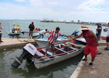 Pese a los ataques de tiburón, pescadores del sur de Sonora salen por el callo de hacha