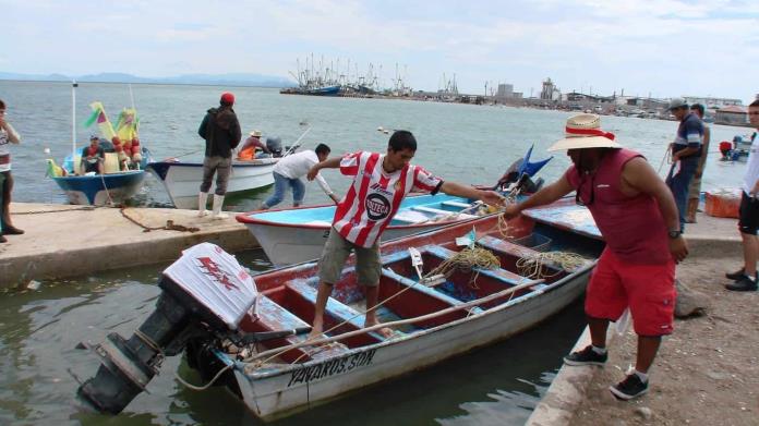 Pese a los ataques de tiburón, pescadores del sur de Sonora salen por el callo de hacha Pese a los ataques de tiburón, pescadores del sur de Sonora salen por el callo de hacha