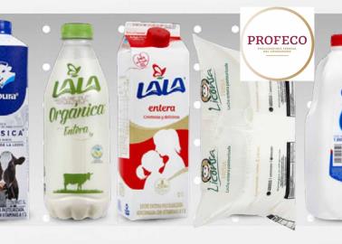 ¿LALA o Alpura?: Profeco te dice cuál es la mejor leche y con más proteínas