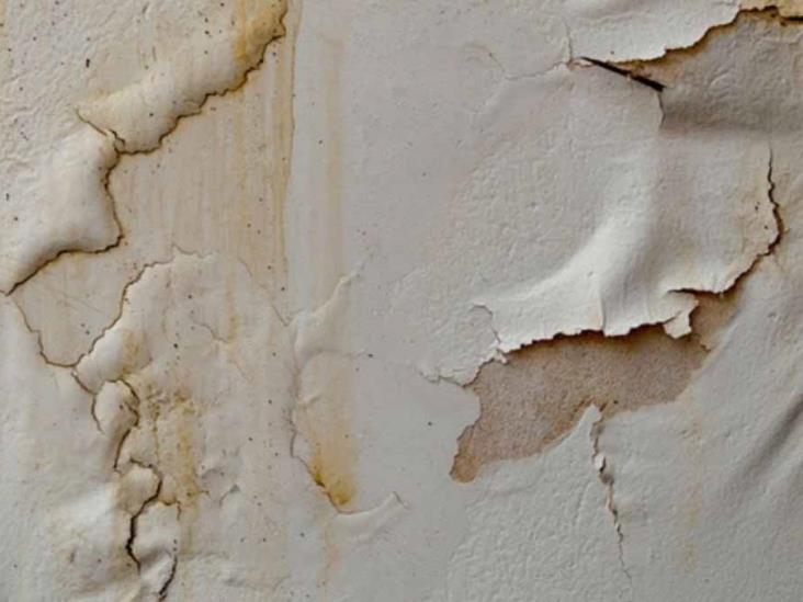 A través de estos trucos puedes eliminar la humedad en las paredes de tu casa A través de estos trucos puedes eliminar la humedad en las paredes de tu casa