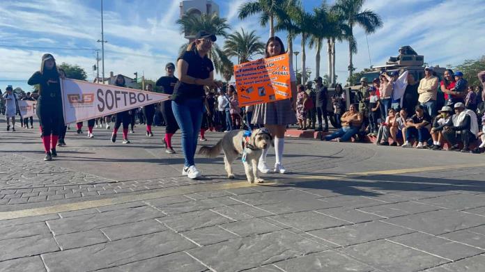VIDEO | El Greñas, la mascota del Cobachito, presente en el desfile revolucionario en Cajeme VIDEO | El Greñas, la mascota del Cobachito, presente en el desfile revolucionario en Cajeme