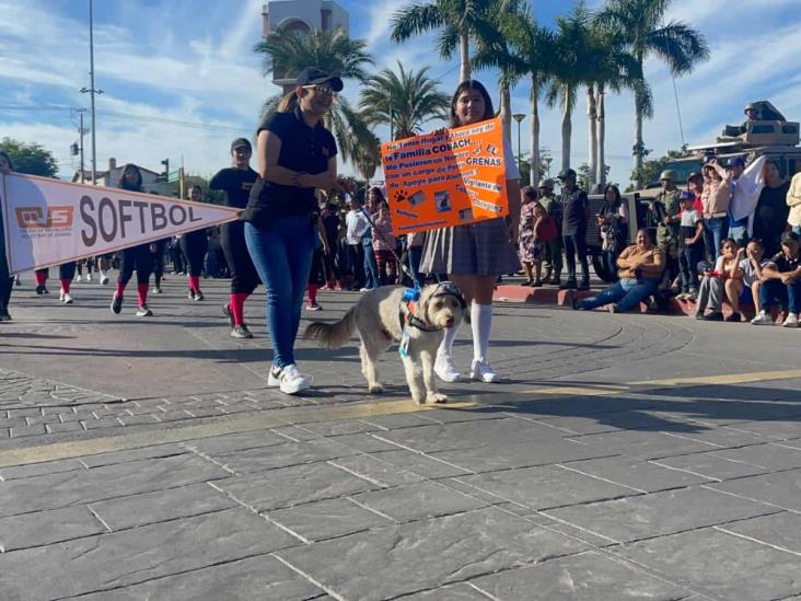 VIDEO | El Greñas, la mascota del Cobachito, presente en el desfile revolucionario en Cajeme VIDEO | El Greñas, la mascota del Cobachito, presente en el desfile revolucionario en Cajeme