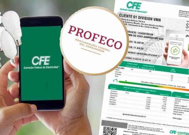 Profeco recomienda estos focos ahorradores para disminuir el recibo de la CFE