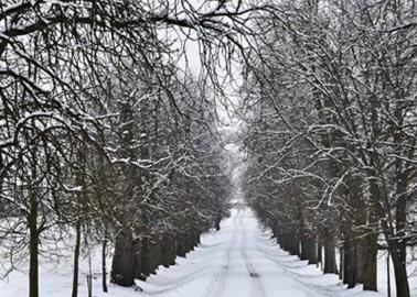 En estos estados del norte habrá caída de nieve y temperaturas bajo cero