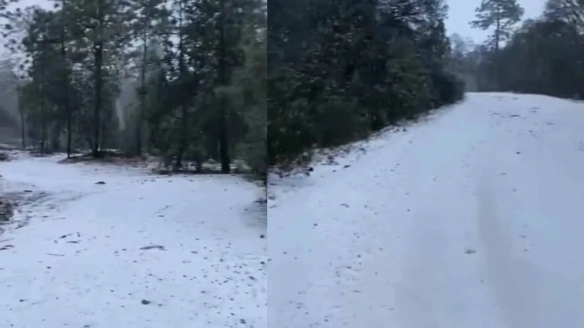 ¡Frío intenso! Este lugar de Sonora registra una temperatura de – 4.5 grados
