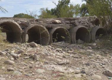 Acaba flora y fauna falta de agua en río