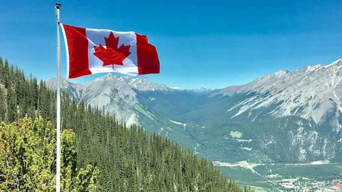 ¡De oportunidad! Canadá ofrece a mexicanos empleo con sueldo por arriba de los 50 mil pesos