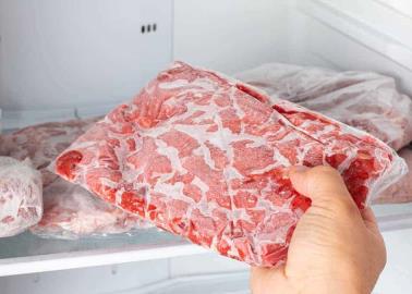 Conoce la manera correcta para descongelar tus alimentos y evitar que se echen a perder