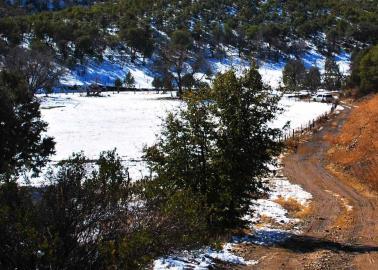 Clima en Sonora: Así sería la temperatura para la Navidad 2023