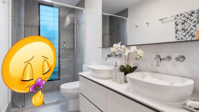 Elimina los malos olores del baño con este sencillo y económico ambientador casero Elimina los malos olores del baño con este sencillo y económico ambientador casero