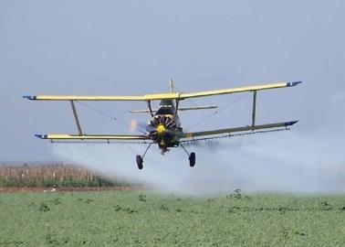 Aumenta cáncer en el Mayo debido a los agroquímicos