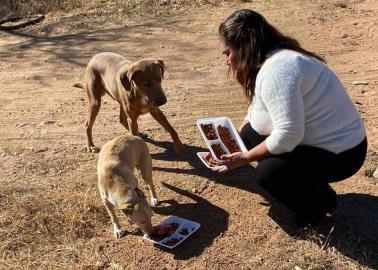 Álamos Dog lleva su Navidad a perros sin hogar