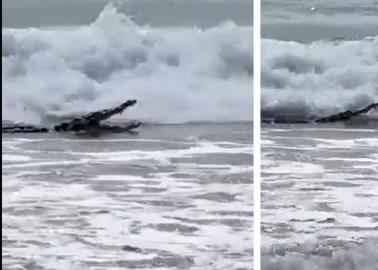 VIDEO | Cocodrilo sorprende a turistas en playa de Ixtapa Zihuatanejo
