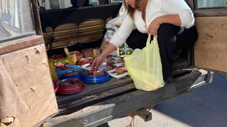 Álamos Dog lleva su Navidad a perros sin hogar