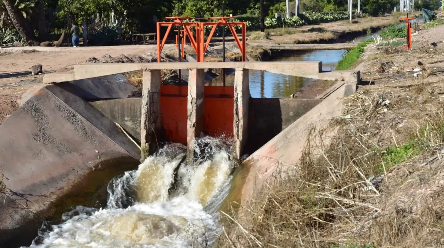 Sader aplicará en Sonora 25 mdp para sequía; seguirá la inducción de lluvias