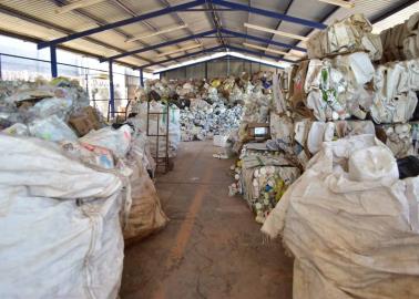 Aumenta el uso de agroquímicos en el Valle del Yaqui