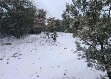 Cae en Sonora primer nevada