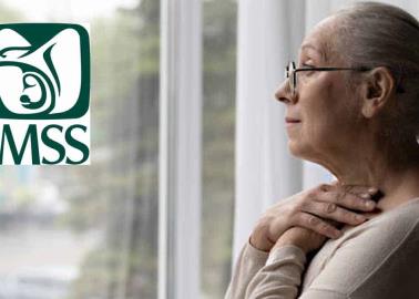 Si el fallecido tenía varias concubinas, ¿tienen derecho a la pensión por viudez del IMSS?