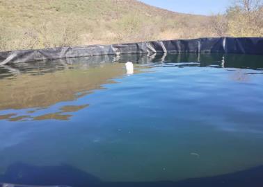 Pescadores de la presa Álvaro Obregón inician con acuacultura