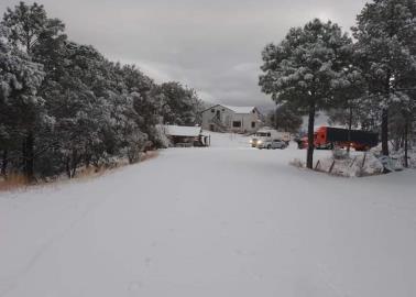 ¡DE ENSUEÑO! Yécora queda bajo la nieve; cierran tramo carretero hacia Hermosillo