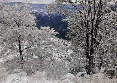 Este es el municipio más frío de Sonora con menos 12 grados