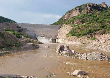 Quieren rescatar petrograbados en Presa Pilares