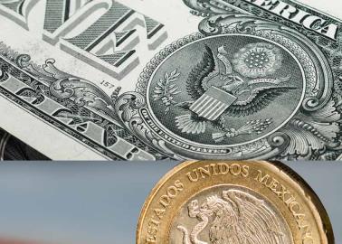 Precio del dólar hoy 17 de enero: la divisa sigue tomando fuerza en el mercado Precio del dólar hoy 17 de enero: la divisa sigue tomando fuerza en el mercado