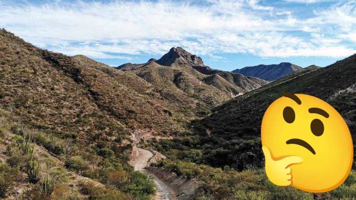 ¿Cómo fue la llegada de inversionistas chinos a Sonora? ¿Cómo fue la llegada de inversionistas chinos a Sonora?