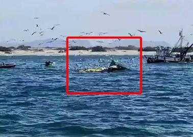 ¡Está vivo! Hallan a pescador desaparecido tras hundimiento de barco atunero guaymense en Sinaloa