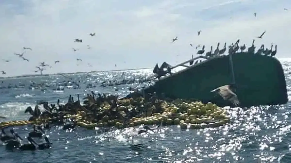 Muere pescador rescatado del barco hundido frente a las costas de Sinaloa