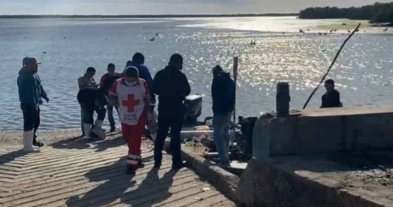 Piden protección contra tiburones