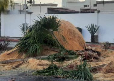 Sorprende lluvia y caída de rayos en Ciudad Obregón
