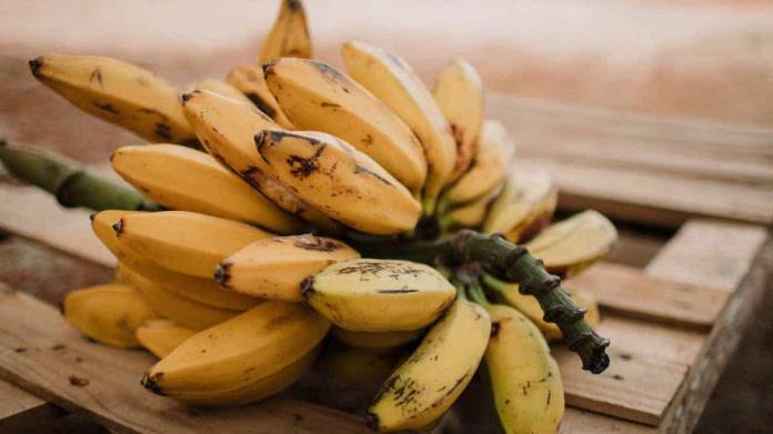 ¿Qué sucede si se come plátano en ayunas? esto dicen expertos