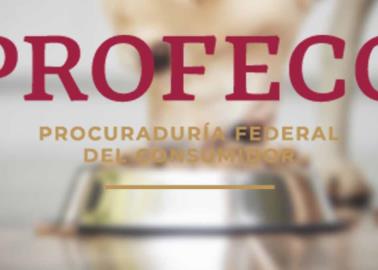 Profeco: estas son las croquetas para perro más baratas de acuerdo a un estudio Profeco: estas son las croquetas para perro más baratas de acuerdo a un estudio