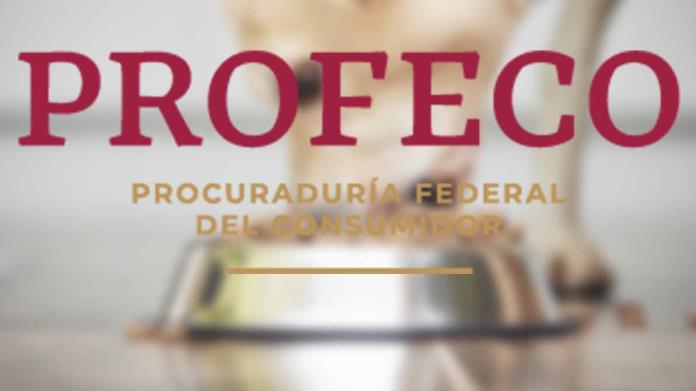 Profeco: estas son las croquetas para perro más baratas de acuerdo a un estudio Profeco: estas son las croquetas para perro más baratas de acuerdo a un estudio