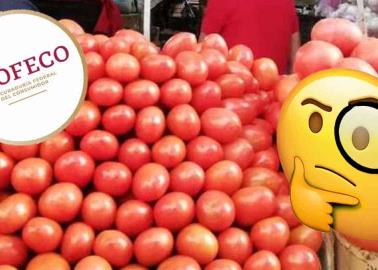 Profeco: Estos son los precios sugeridos por la dependencia para la cebolla, tomate y jitomate