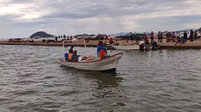 En alerta ante posible avistamiento de tiburón en la costa de Hermosillo En alerta ante posible avistamiento de tiburón en la costa de Hermosillo