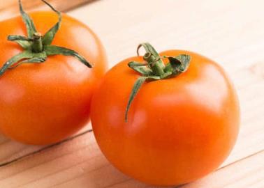 ¿Cuándo bajará el precio del tomate? Esto sabemos