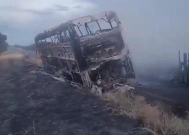 VIDEO |Trágico Accidente en la Maxipista Culiacán-Mazatlán; reportan al menos 20 fallecidos