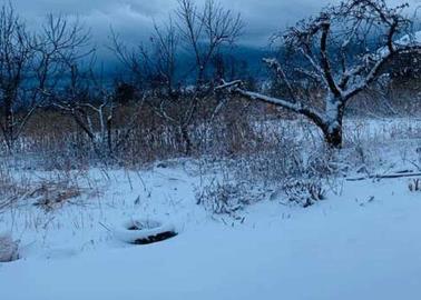 Clima en Sonora: Se espera frente fr&iacute;o y quinta tormenta invernal; estos ser&aacute;n sus efectos
