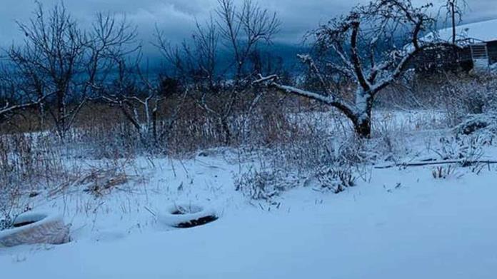 Clima en Sonora: Se espera frente frío y quinta tormenta invernal; estos serán sus efectos