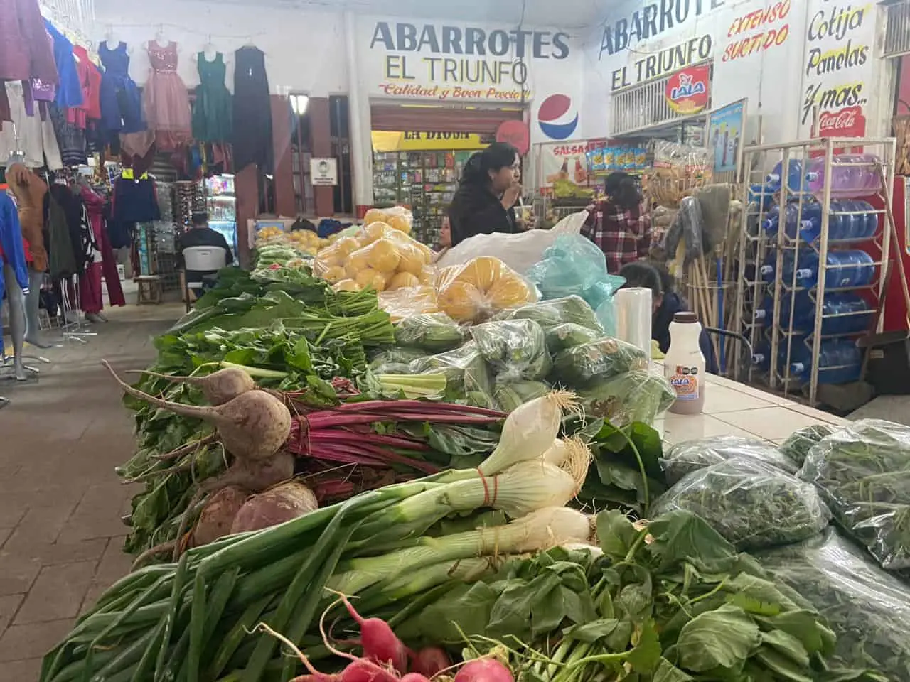 Programas del Bienestar benefician la economía local en Navojoa