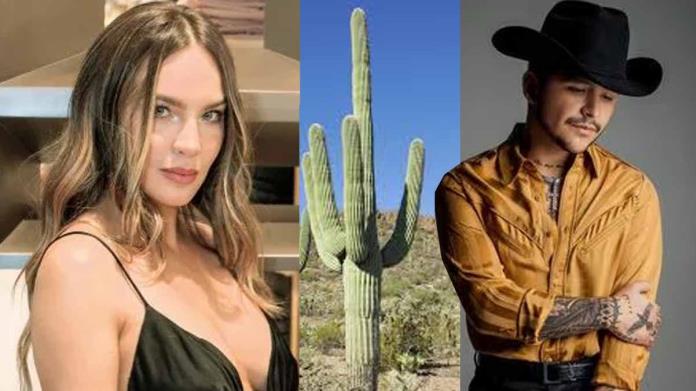 Belinda factura al estilo de Shakira Belinda factura al estilo de Shakira