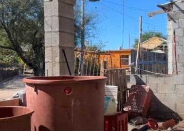 Sin agua permanecen los campos pesqueros de Benito Juárez Sin agua permanecen los campos pesqueros de Benito Juárez