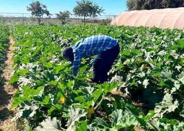 Se recupera el campo