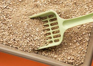 ¿Tienes gatos? Descubre qué otros usos prácticos le puedes dar a su arena